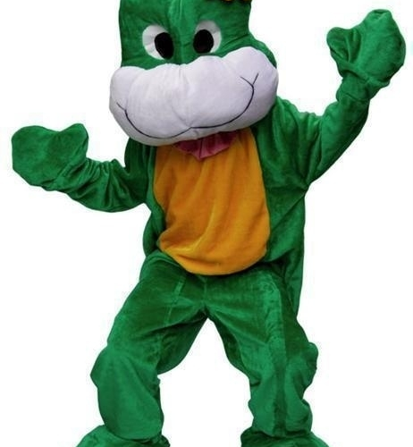 Promotie Kostuum Kikker