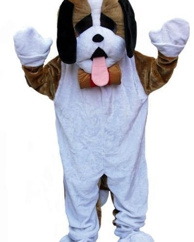 Promotie Kostuum Hond