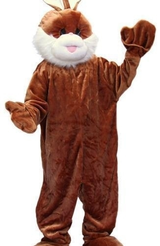 Promotie Kostuum Konijn