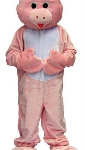 Promotie Kostuum Varken