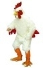 Promotie Kostuum Kip