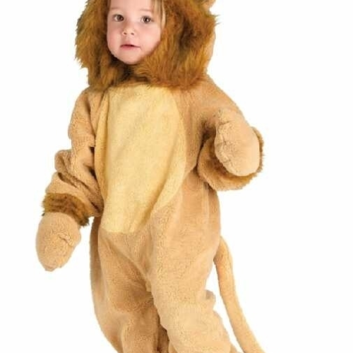 Baby Leeuw Kostuum